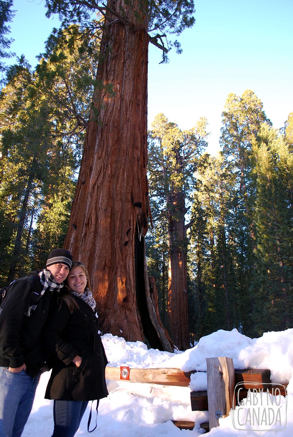 Gaby e Ju no Sequoia National Park