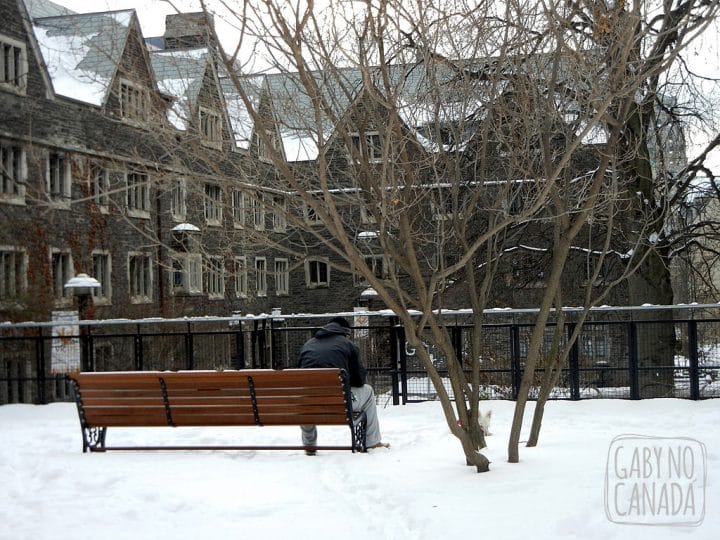 Victoria University at U of T.