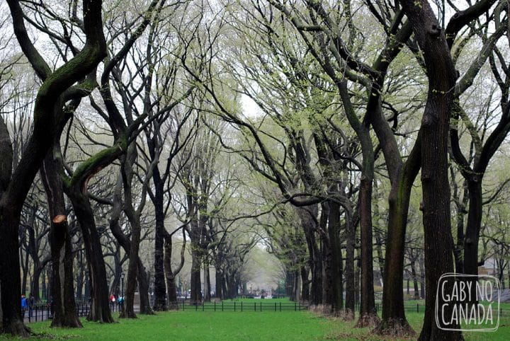 Central Park