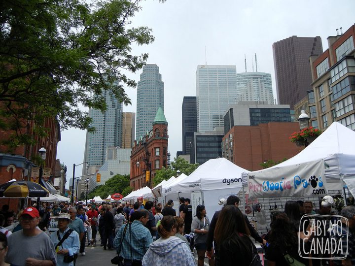 Wolfstock2011