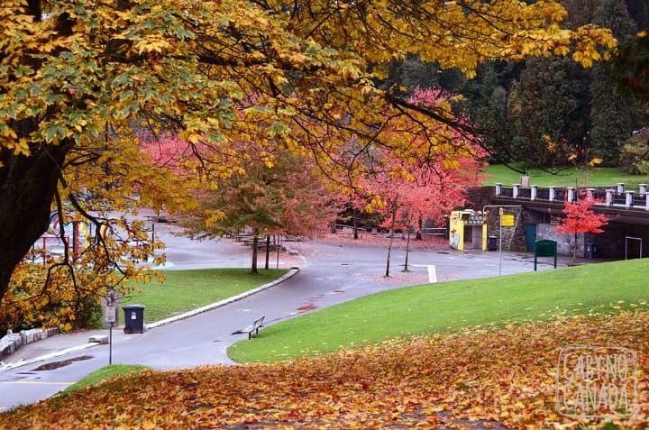 Stanley Park by Ju