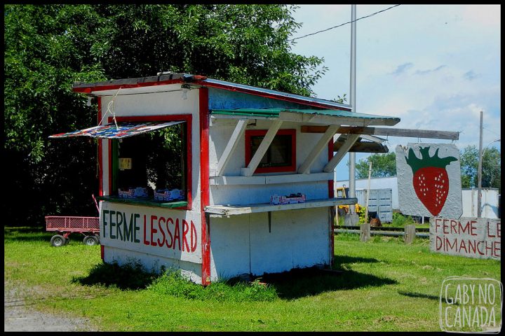 frutas