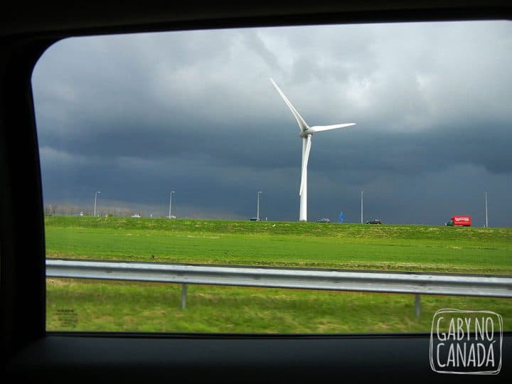 TheNetherlands