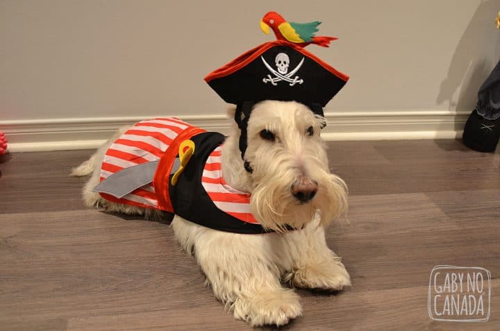 Joe_Halloween2012
