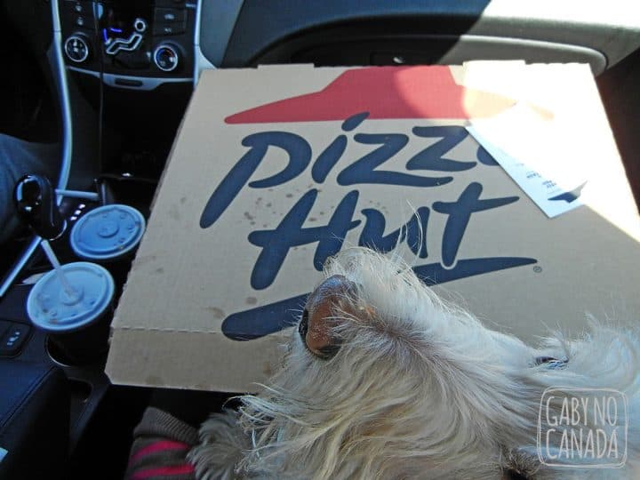 Jojoe é sempre o mais animado quando fazemos lanche no carro!