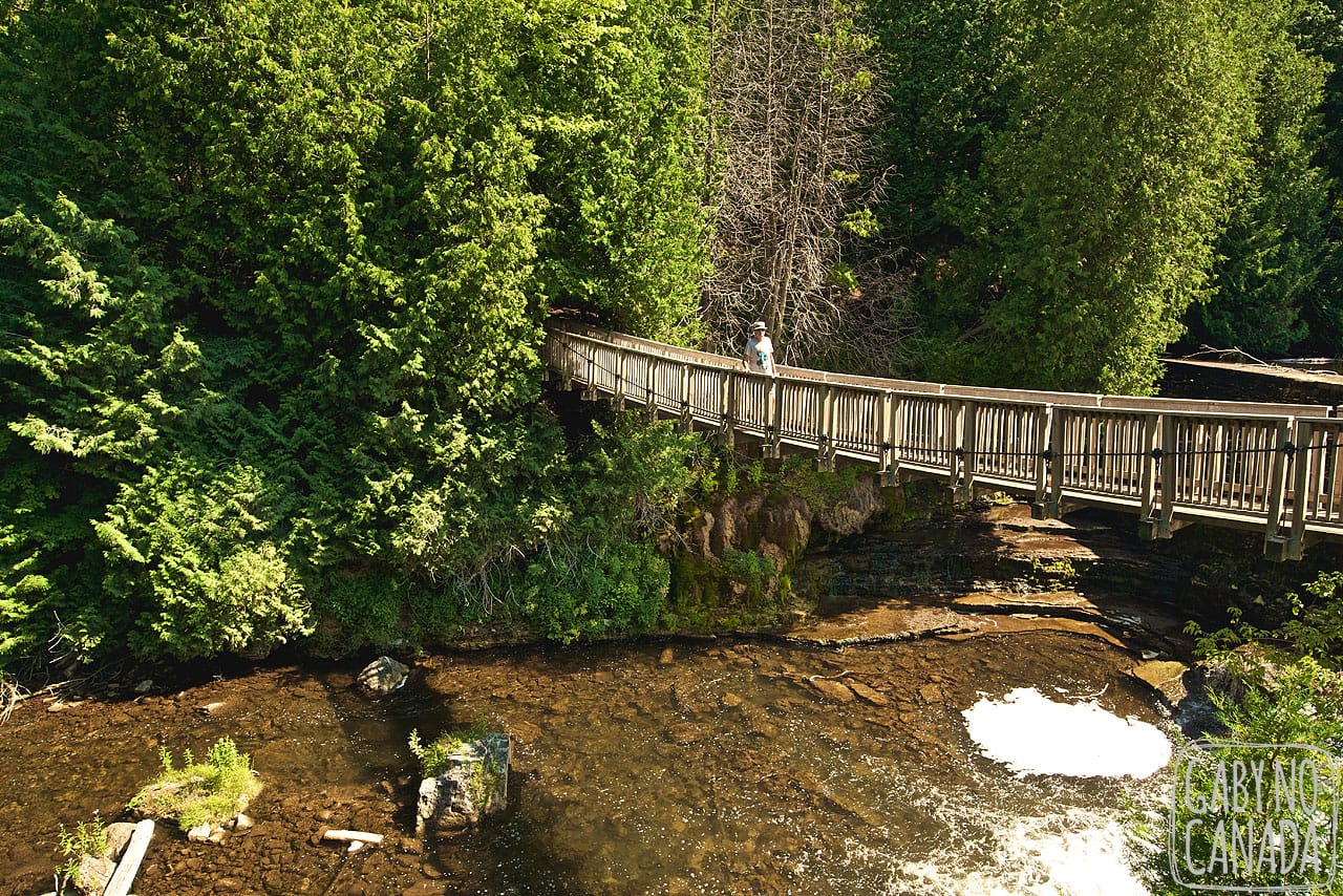 Belfountain Conservation Area parque com ponte pênsil perto de Toronto
