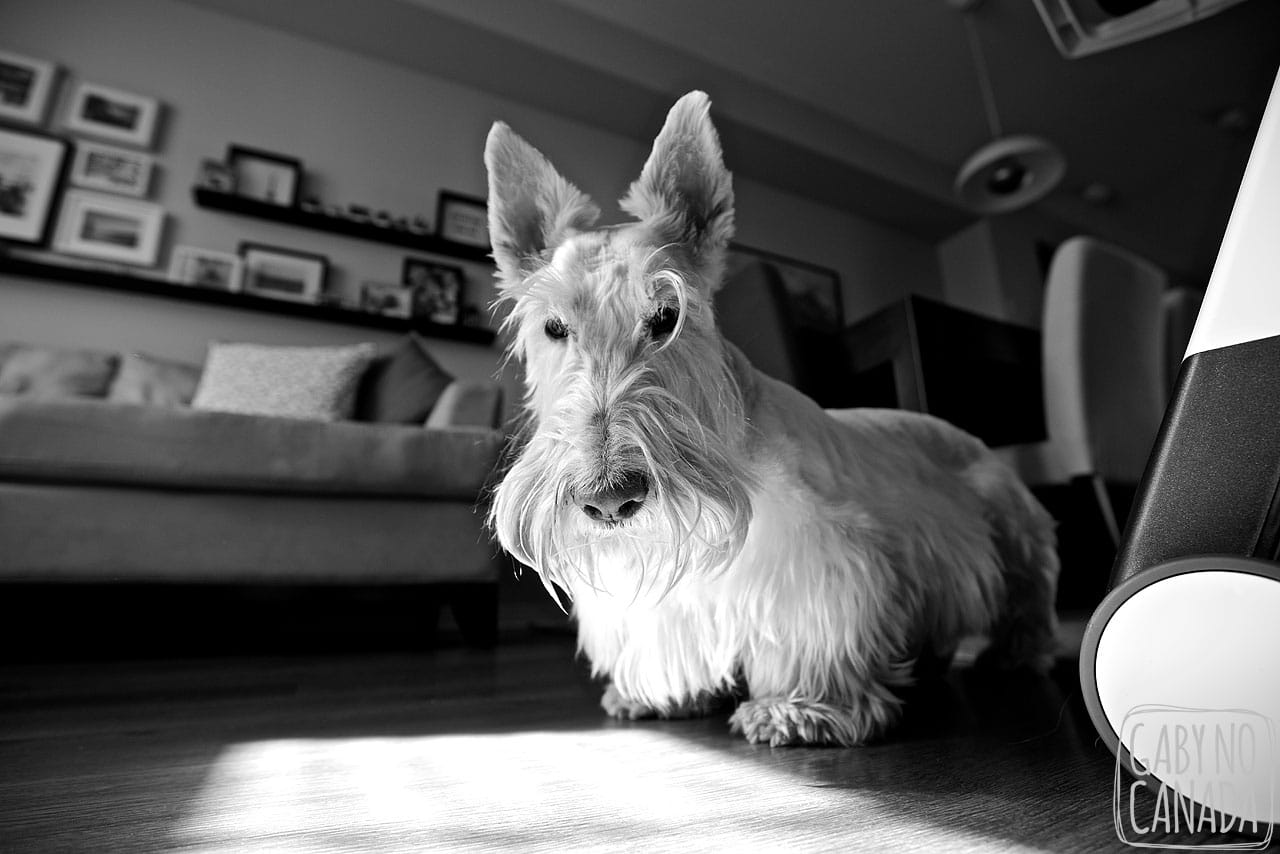 dsc_1273