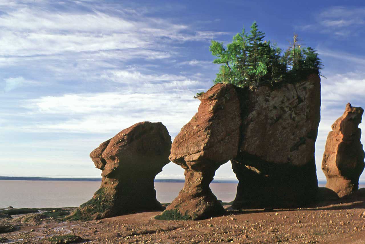 Fonte: Bay of Fundy Tourism