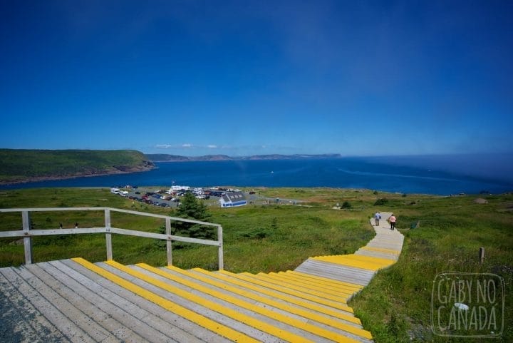 DSC_0785